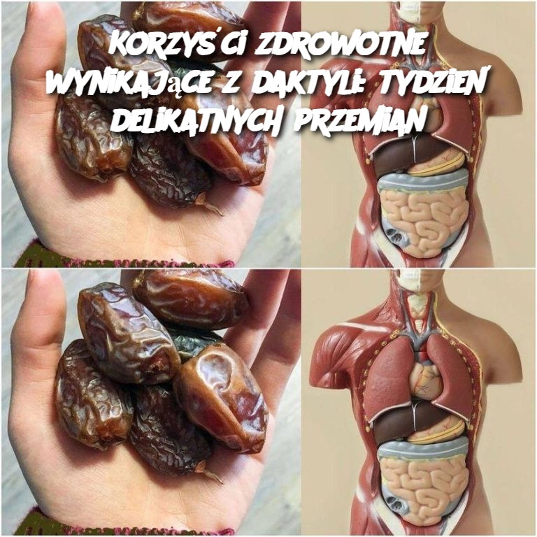 Korzyści zdrowotne wynikające z daktyli: tydzień delikatnych przemian