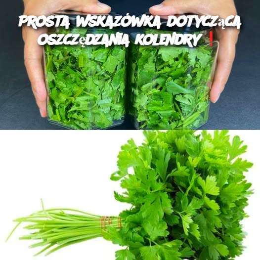 Prosta wskazówka dotycząca oszczędzania kolendry❗