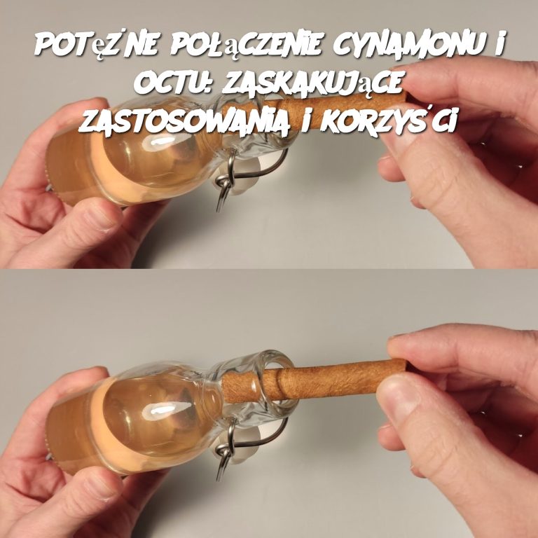 Potężne połączenie cynamonu i octu: zaskakujące zastosowania i korzyści