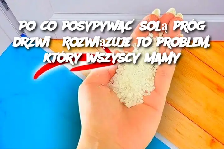 Po Co Posypywać Sólą Próg Drzwi? Rozwiązuje To Problem, Który Wszyscy Mamy!