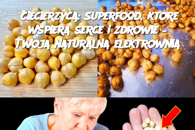 Ciecierzyca: Superfood, które wspiera serce i zdrowie – Twoja naturalna elektrownia