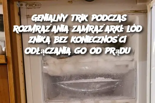 Genialny trik podczas rozmrażania zamrażarki: lód znika bez konieczności odłączania go od prądu