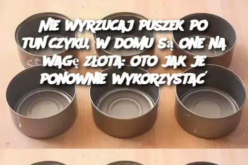 Pomysły na Ich Ponowne Wykorzystanie