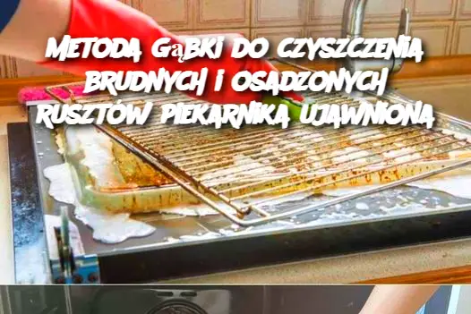 Metoda gąbki do czyszczenia brudnych i osadzonych rusztów piekarnika ujawniona