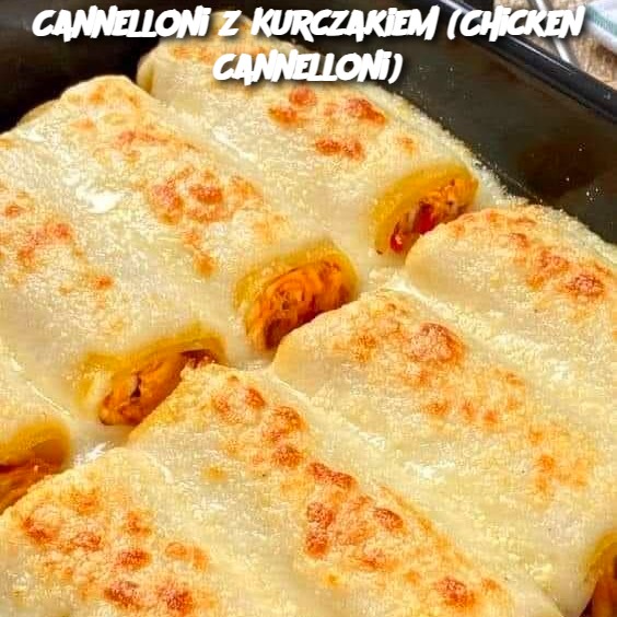 Cannelloni z kurczakiem