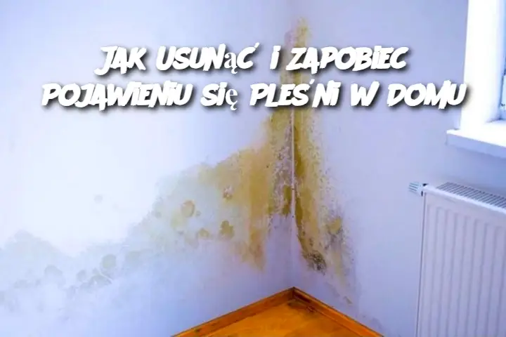 Jak Usunąć i Zapobiec Pojawieniu się Pleśni w Domu