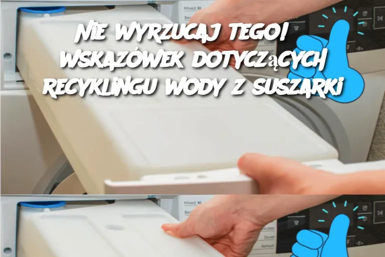 Nie Wyrzucaj Tego! 8 Wskazówek Dotyczących Recyklingu Wody z Suszarki