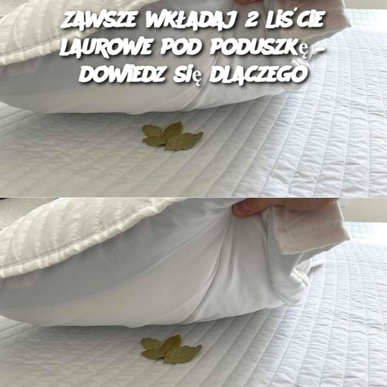 Zawsze wkładaj 2 liście laurowe pod poduszkę – dowiedz się dlaczego