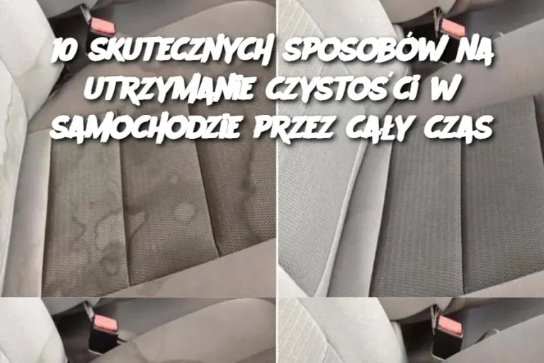 „10 sprawdzonych metod na zachowanie idealnej czystości w samochodzie przez długi czas”