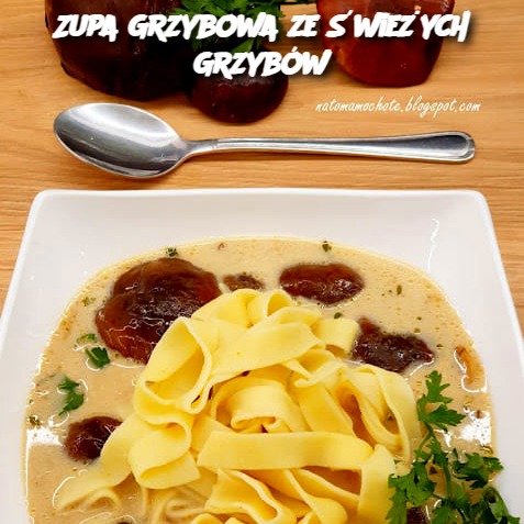 Zupa Grzybowa ze Świeżych Grzybów