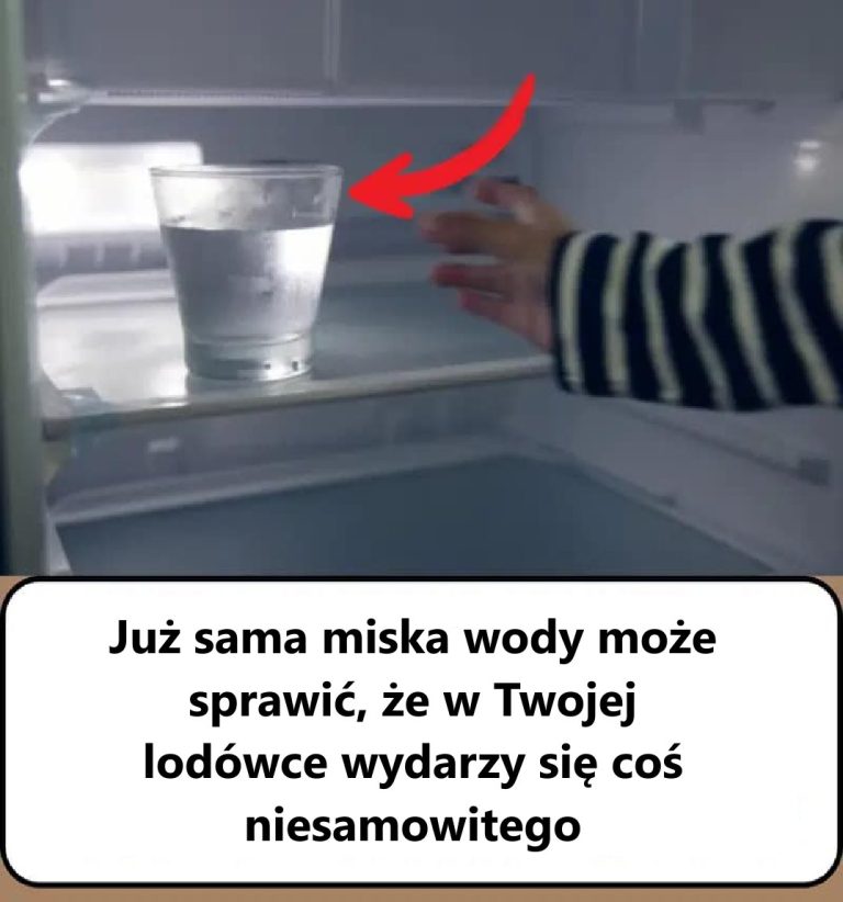 Wystarczy miska wody, aby w Twojej lodówce działy się niesamowite rzeczy