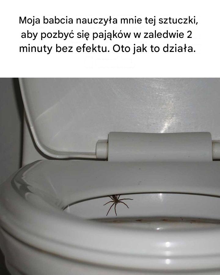 Chciałbym sam na to wpaść! Sprytne!