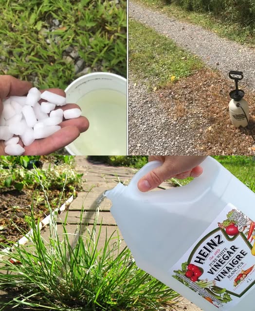 Cum să prepari un erbicid natural pentru grădină cu ingrediente accesibile