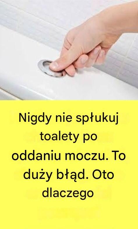 Nu spălați niciodată toaleta după ce ați urinat. Aceasta este o mare greșeală. Iată de ce