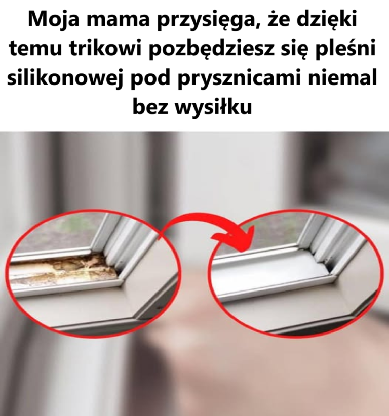 Najszybszy sposób na pozbycie się pleśni z silikonu prysznicowego