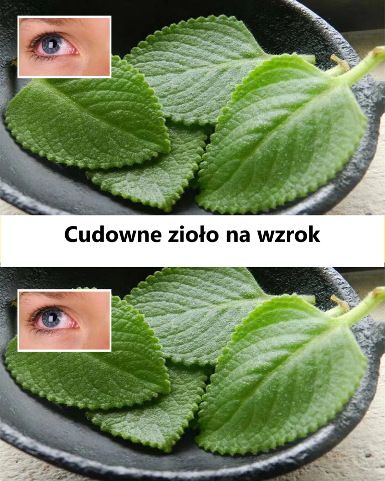 Cudowne zioło na wzrok: naturalne rozwiązanie na zaćmę i zdrowie oczu