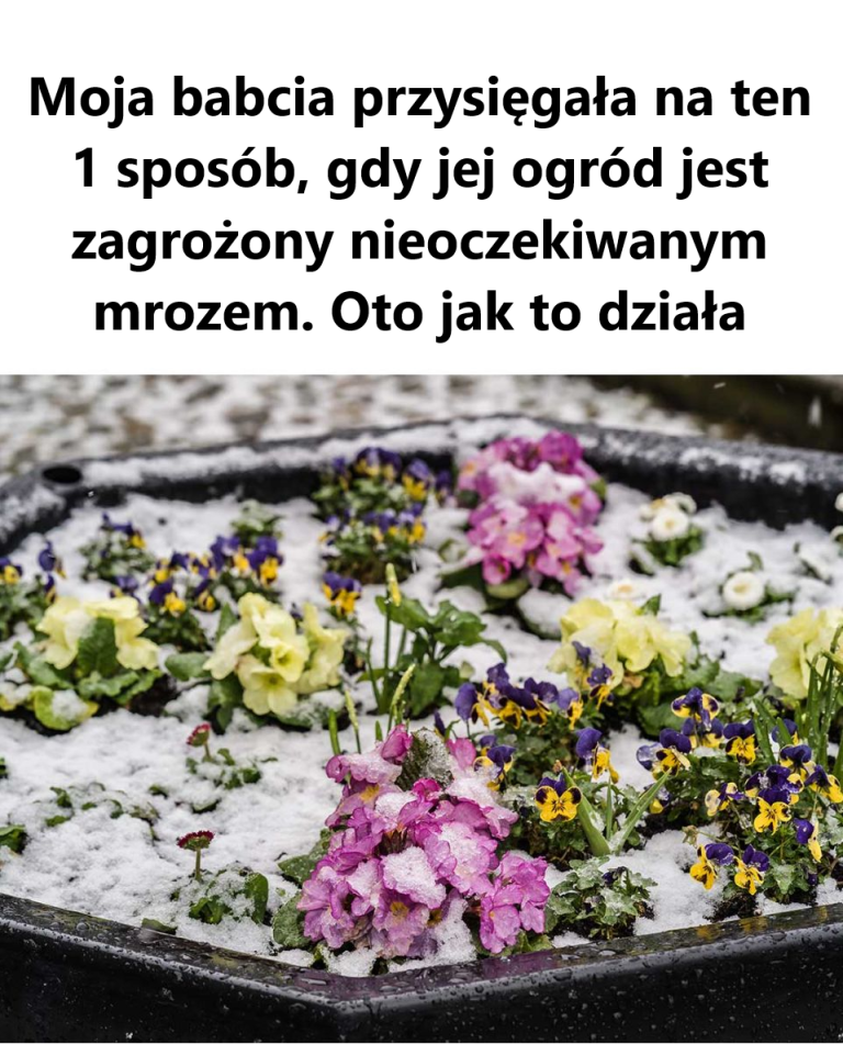 Szkoda, że ​​nie dowiedziałem się o tym wcześniej!