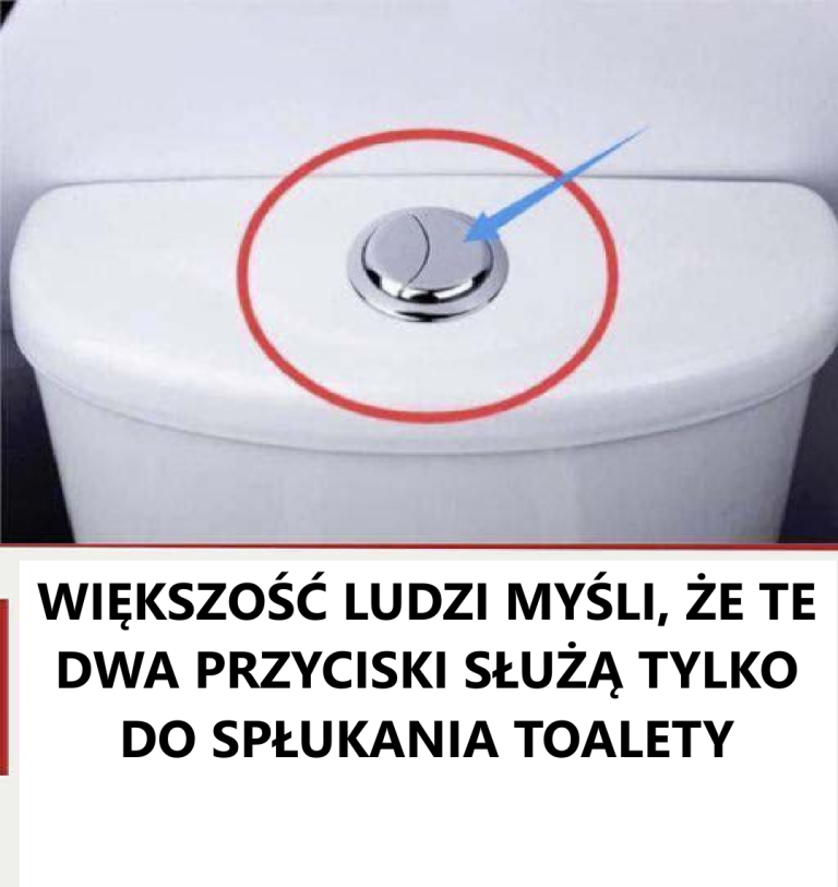 Wiele osób uważa, że ​​te dwa przyciski służą tylko do spłukiwania wody w toalecie.