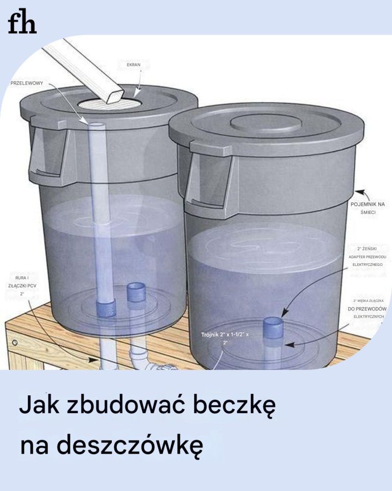 Jak zbudować beczkę na deszczówkę