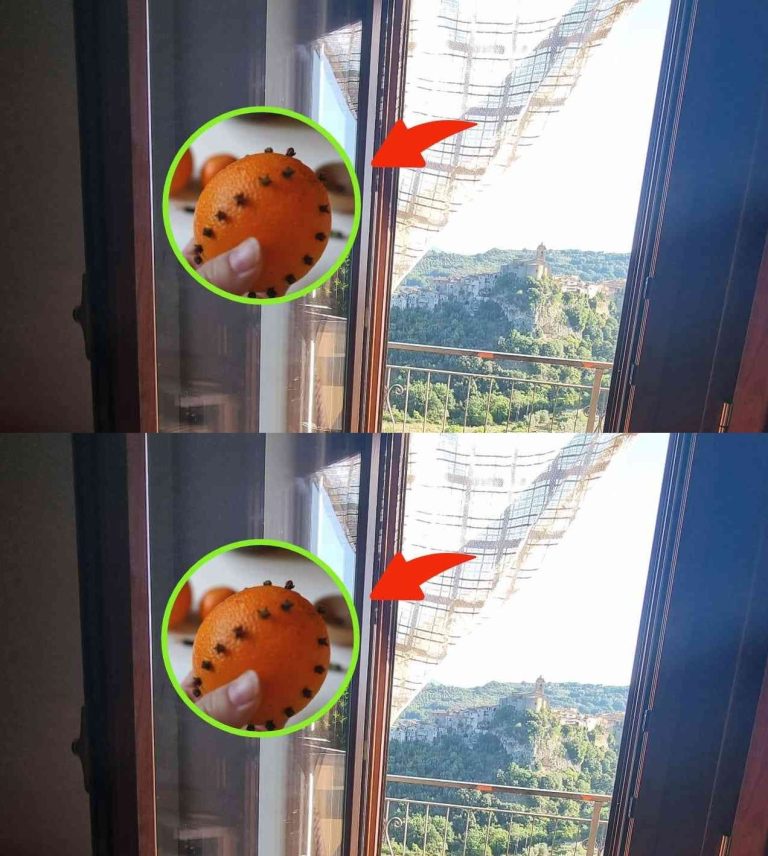 DZIĘKI TEJ SZTUCZCE OWADY NIE WEJDĄ DO DOMU, NAWET PRZY OTWARTYCH OKNACH