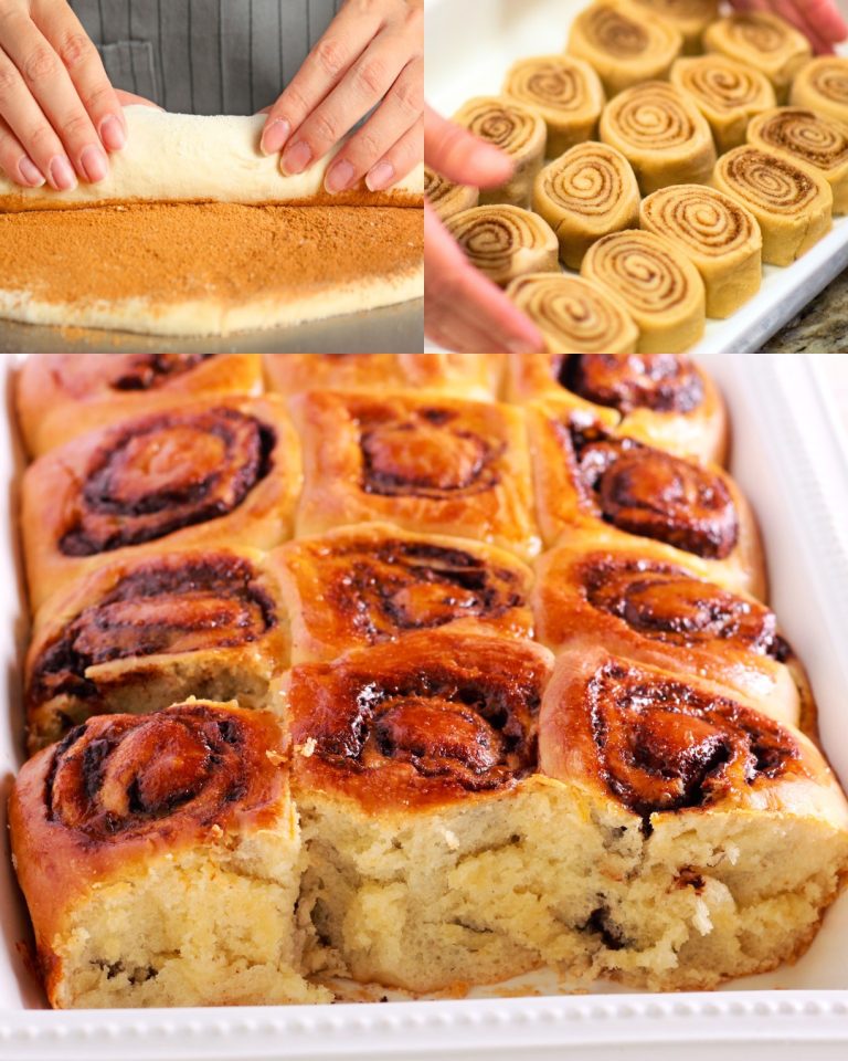 Róże cynamonowe