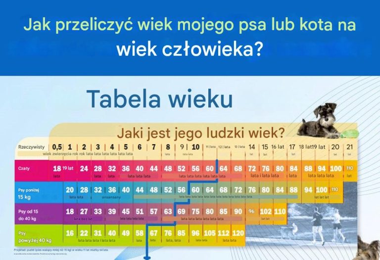 Jak przeliczyć wiek mojego kota lub psa na lata ludzkie?