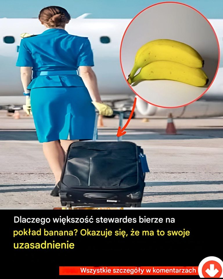 Dlaczego większość stewardes bierze na pokład banana?