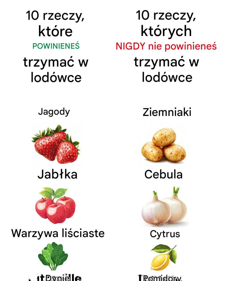 10 rzeczy, które zawsze należy trzymać w lodówce i 10 rzeczy, których nigdy nie należy trzymać w lodówce