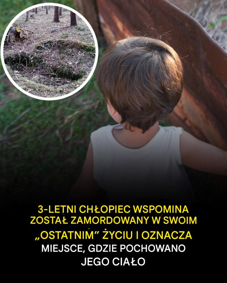 Trzyletni chłopiec wspomina, że ​​został zamordowany w swoim „ostatnim” życiu i wskazuje miejsce, w którym pochowano jego ciało.