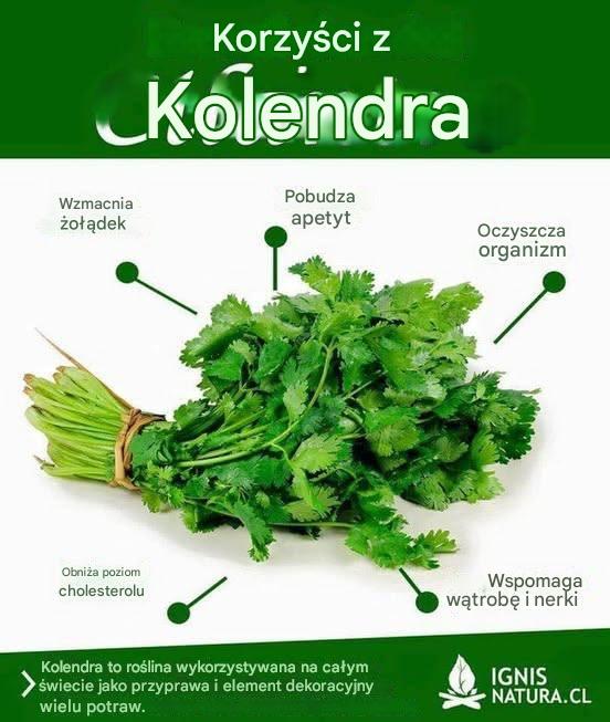Korzyści z kolendry