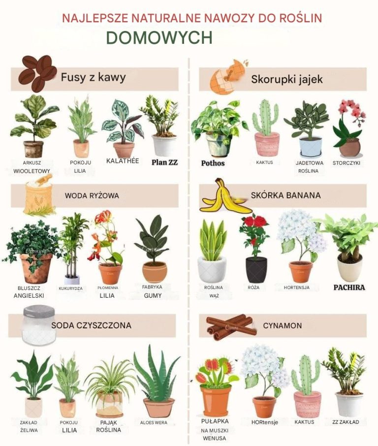 Najlepsze naturalne nawozy dla roślin domowych