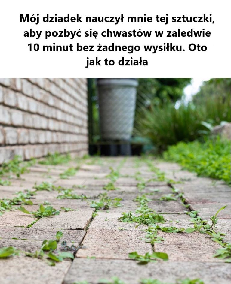 Na początku oczyść pierś z kurczaka z nadmiaru tłuszczu, a następnie pokrój ją na cienkie plastry.