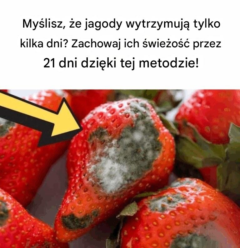 Jak zachować świeżość jagód na dłużej – nawet do 21 dni!
