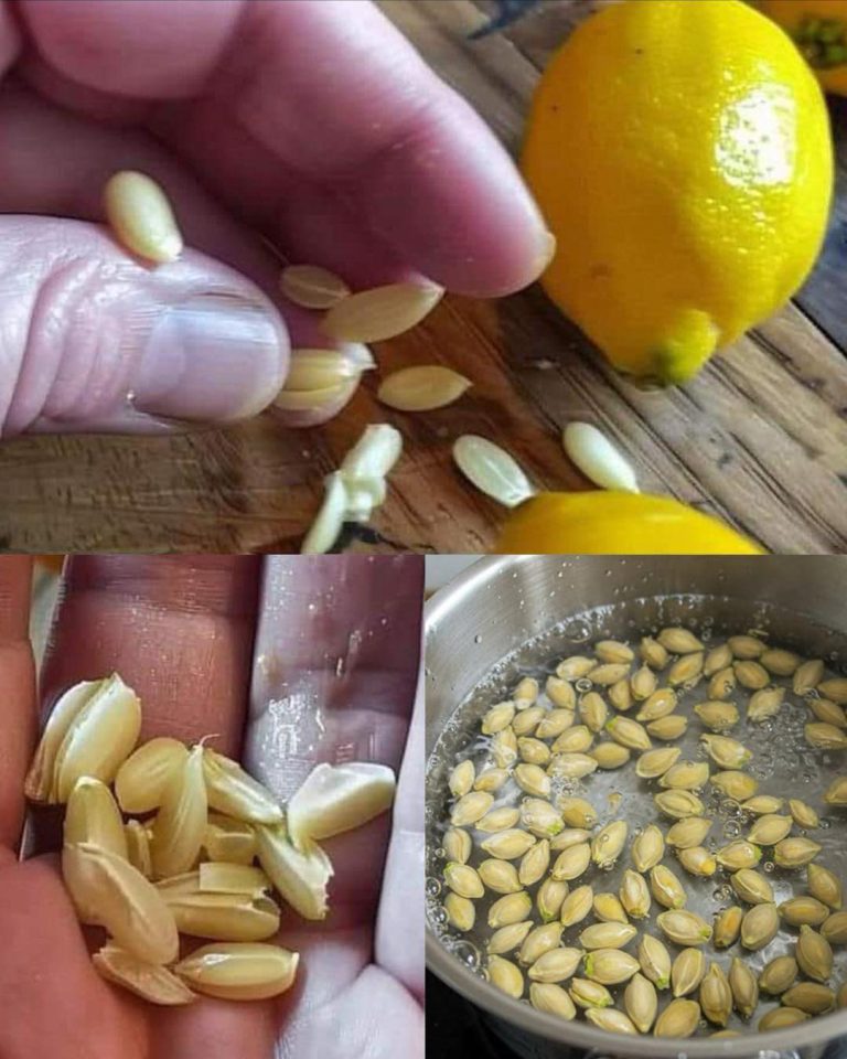 10 sprytnych sposobów na ponowne wykorzystanie nasion cytryny w domu