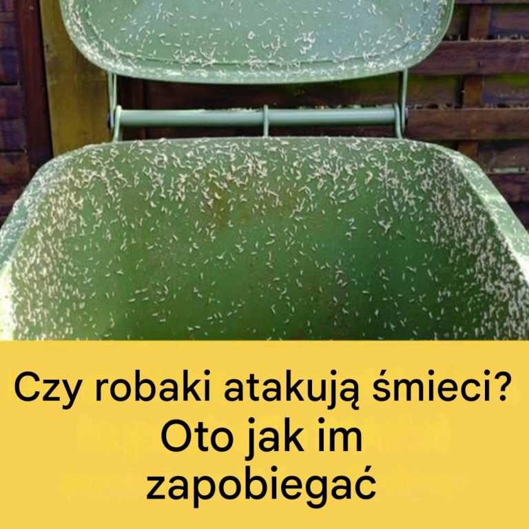 4 skuteczne wskazówki, jak pozbyć się robaków z zewnętrznego kosza na śmieci