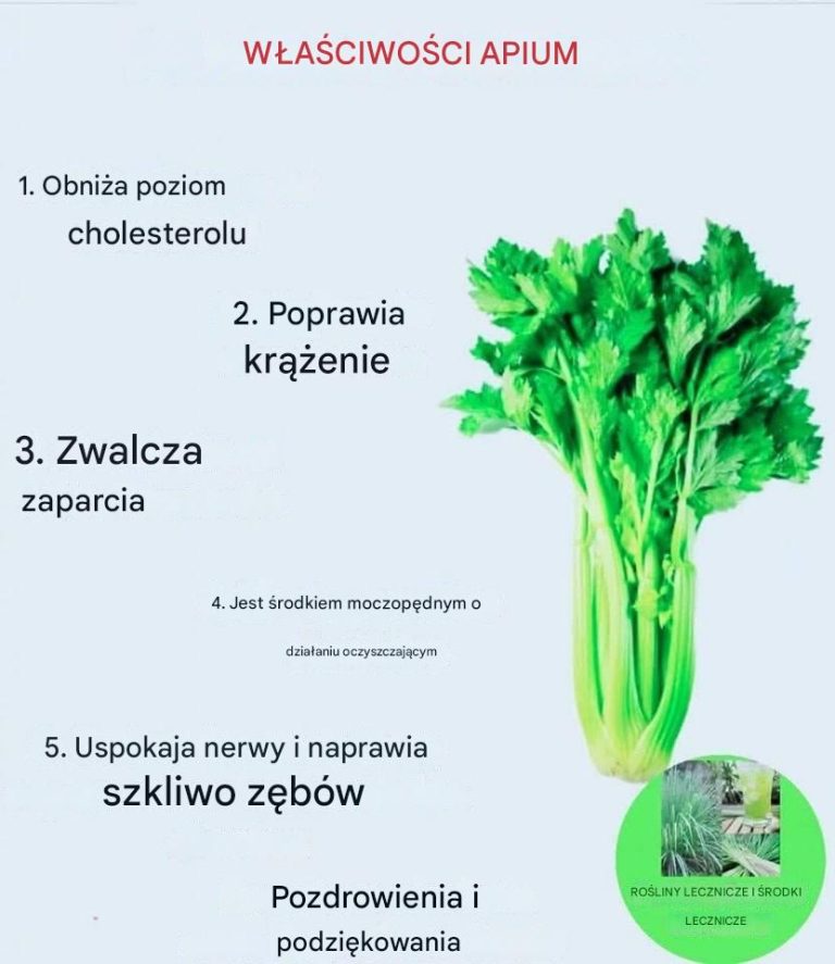 Jeśli jesz seler codziennie, może to mieć wpływ na Twój organizm