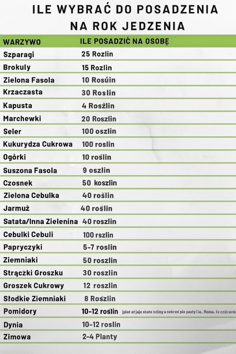 Ciasto niesamowitej urody (bez kremu)‼