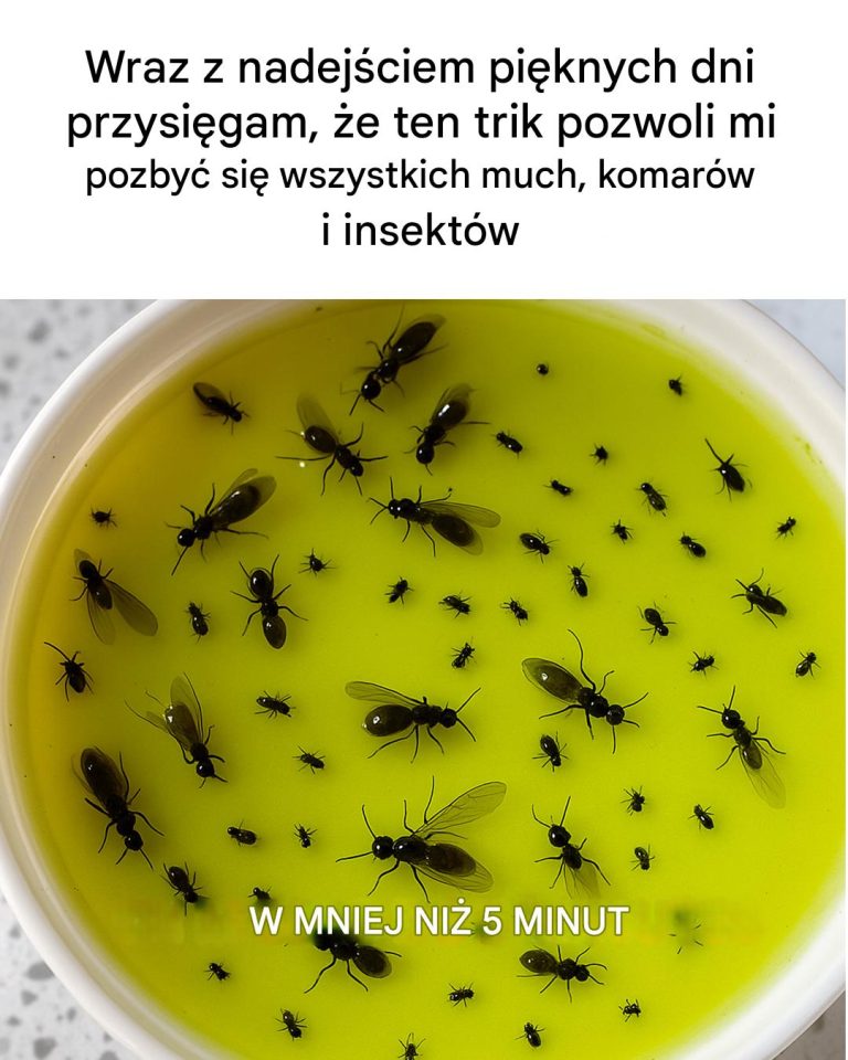 Trik z octem jabłkowym na pozbycie się niechcianych szkodników