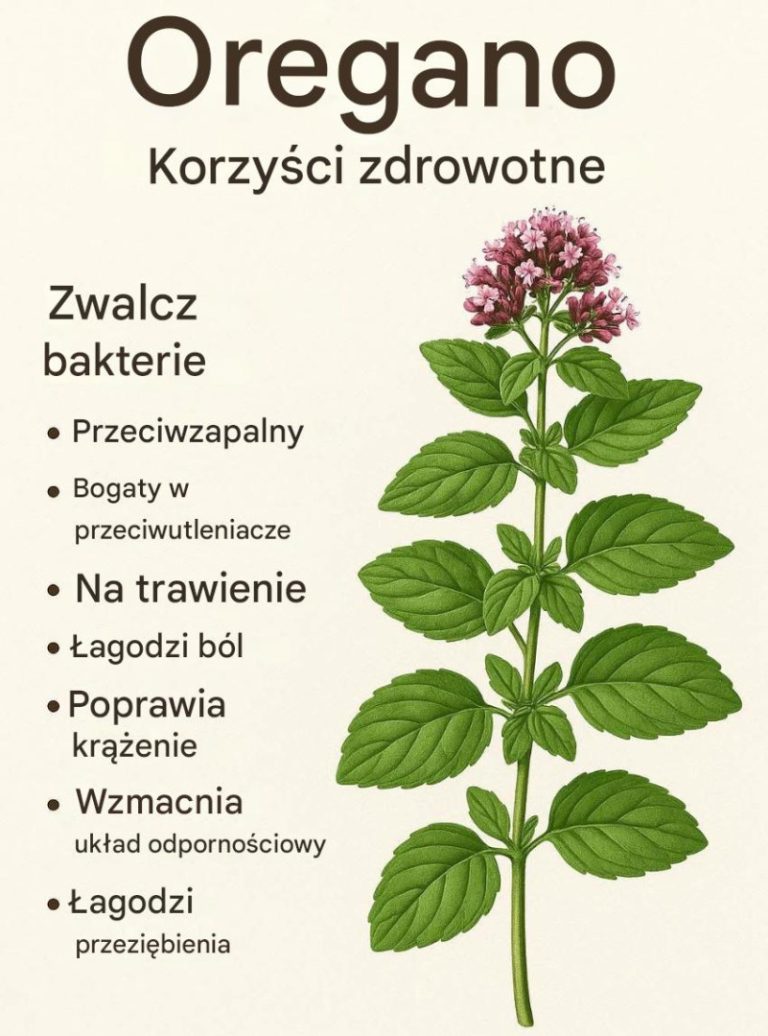 Odkryj, dlaczego oregano jest najsilniejszym ziołem